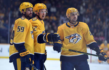 Predators and the Central Division Top Three: All Star Break Review