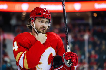 Predicting the Flames Leadership Group Under Captain Andersson