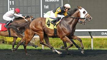Presque Isle Downs preps for premier race day amidst successful '23 meet