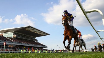 Pressure is growing on racing after recent horse deaths on both sides of the Atlantic
