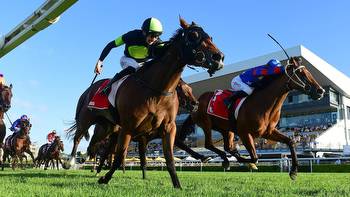 Preview, Tips and Best Bets for Doomben Saturday, December 31
