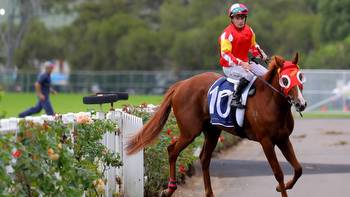 Preview, Tips and Best Bets for Doomben Saturday, October 21