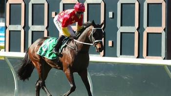 Preview, Tips and Best Bets for Eagle Farm Saturday, June 10