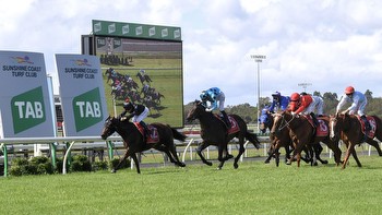 Preview, Tips and Best Bets for Sunshine Coast for Saturday, January 28