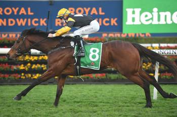 Price confident in longer priced chances at Kembla