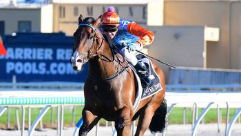 Prince Of Boom set to bounce back at Caulfield