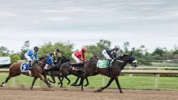 Prince of Wales Stakes Predictions, Best Bets, Odds