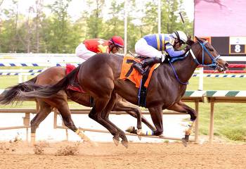 Princess Kokachin Stretching Out in $100K Alma North