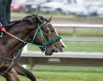 Prix de l’Arc De Triomphe Shaping Up To Be A Classic