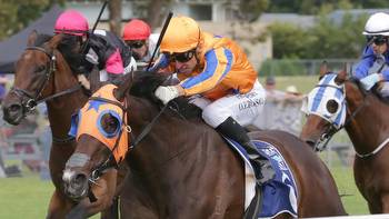 Prizemoney shambles sees Kiwi mare left out of Australian Cup