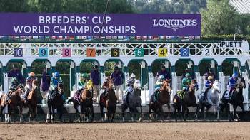 Pro Player Sean Boarman Wins Breeders’ Cup Betting Challenge