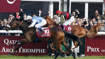 Profile of Japanese Prix de l'Arc de Triomphe contender Through Seven Seas