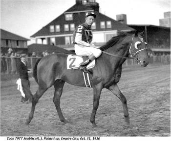 Project Underway To Analyze DNA From Seabiscuit