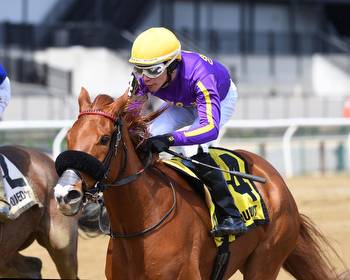 Promiseher America Relishes Stretch-out in G3 Gazelle