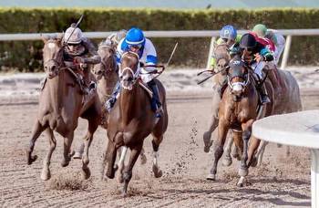 Prospect Watch: 6 sophomores debut at Gulfstream, Santa Anita