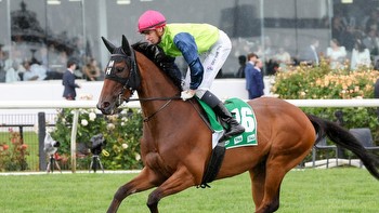 Proven formula can pay off for SA raider in Cranbourne Cup