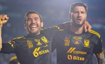 Puebla vs Tigres UANL: Predictions, odds and how to watch or live stream 2022 Liga MX Apertura in the US