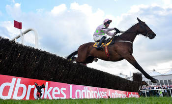 Punchestown Festival 2022 Day 1 Tips: Check out our best bets for Tuesday's racing