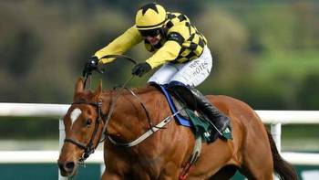 Punchestown Festival: State Man cruises to victory in Champion Hurdle