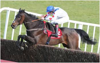 Punchestown Gold Cup runner-by-runner guide as Allaho faces 8 rivals