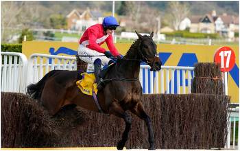 Punchestown Gold Cup tips from our experts for Wednesday's 5.55