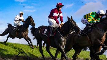 Punchestown review: Reports, reaction and free video replays