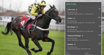 Punter could turn just £5 into £275k with amazing Cheltenham Festival ante-post acca