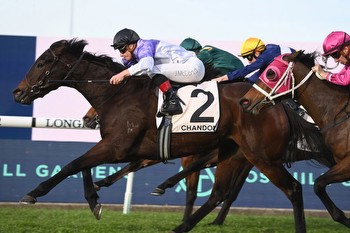 Punters back filly like she is Invincible in the Furious Stakes