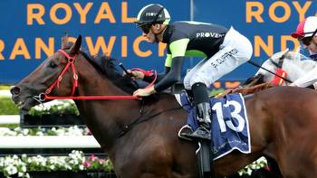 Punters back Joe Pride-trained Think About It for Stradbroke