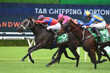 Punters back outsiders in the Queen Elizabeth Stakes