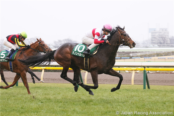 Punters crunch three-year-old's odds to win the Japan Cup