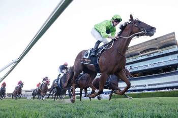 Punter's Edge: Early value in betting markets for Saturday's racing