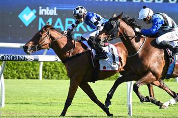 Punters hoping to strike gold in the Lord Stakes