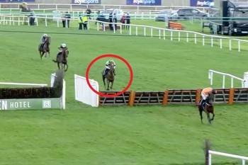 Punters lose £14,000 in absolute horror show after backing horse they all thought couldn't possibly be beaten