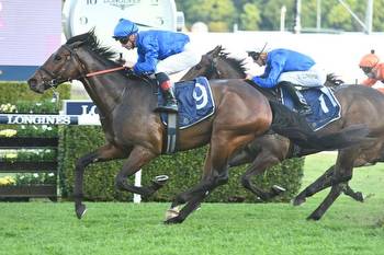Punters plunge on Godolphin galloper in The Buffering