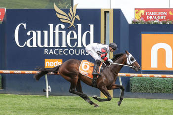 Punters plunge on lightly raced stayer in the Coongy Cup