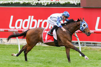 Punters quick to back one in the Chester Manifold Stakes