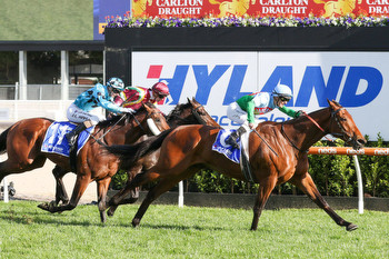 Punters quick to back one in the Crystal Mile at Moonee Valley