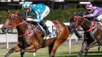 Punters rally for Hong Kong star Romantic Warrior after trainer Danny Shum confirms Cox Plate intentions