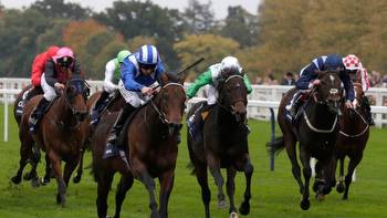 Qipco British Champions Day: The Timeform 130+ monsters