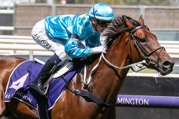 Quality fields assured from the nominations for 2023 Coolmore Classic Day