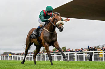 Queen Elizabeth II Stakes: guide to all the potential runners
