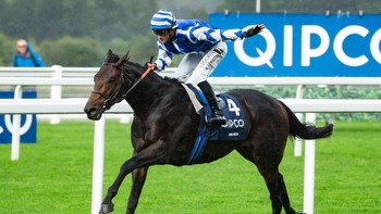 Queen Elizabeth II Stakes report and replay: Big Rock bowls them over
