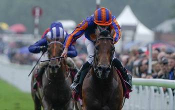 Queen Elizabeth II Stakes tips and runners guide to Ascot 3.05