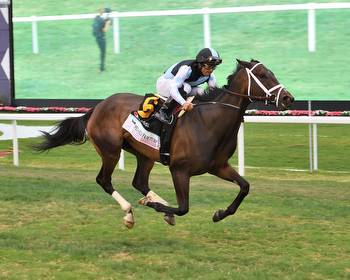 Queen Goddess Off Bench for GII Goldikova Mile Turf Test
