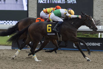 Queen’s Plate and Woodbine Oaks hopefuls set to contest Woodstock and Star Shoot Stakes