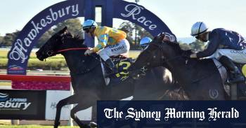 Race-by-race preview and tips for Hawkesbury on Saturday