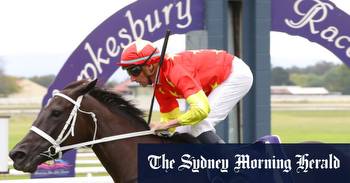 Race-by-race preview and tips for Hawkesbury on Tuesday