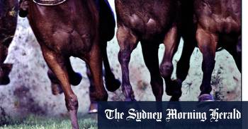 Race-by-race preview and tips for Wagga on Friday