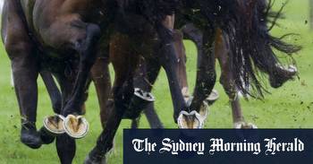 Race-by-race preview and tips for Warwick Farm on Wednesday